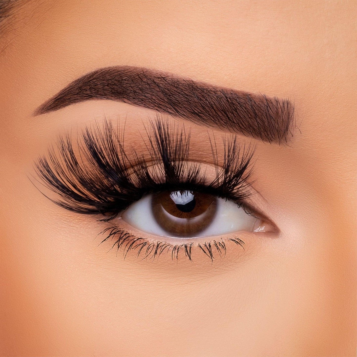 3D Silk - Lash Collection Bundle