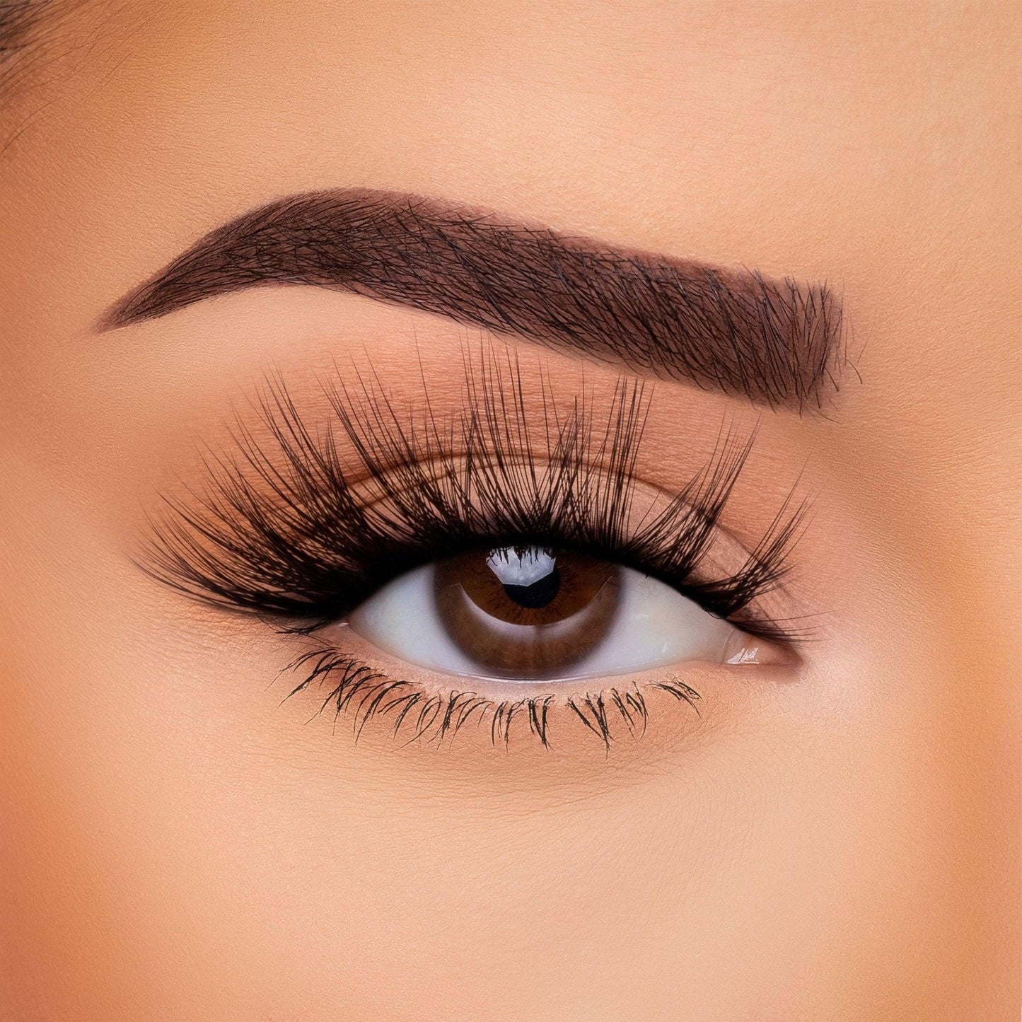 3D Silk - Lash Collection Bundle