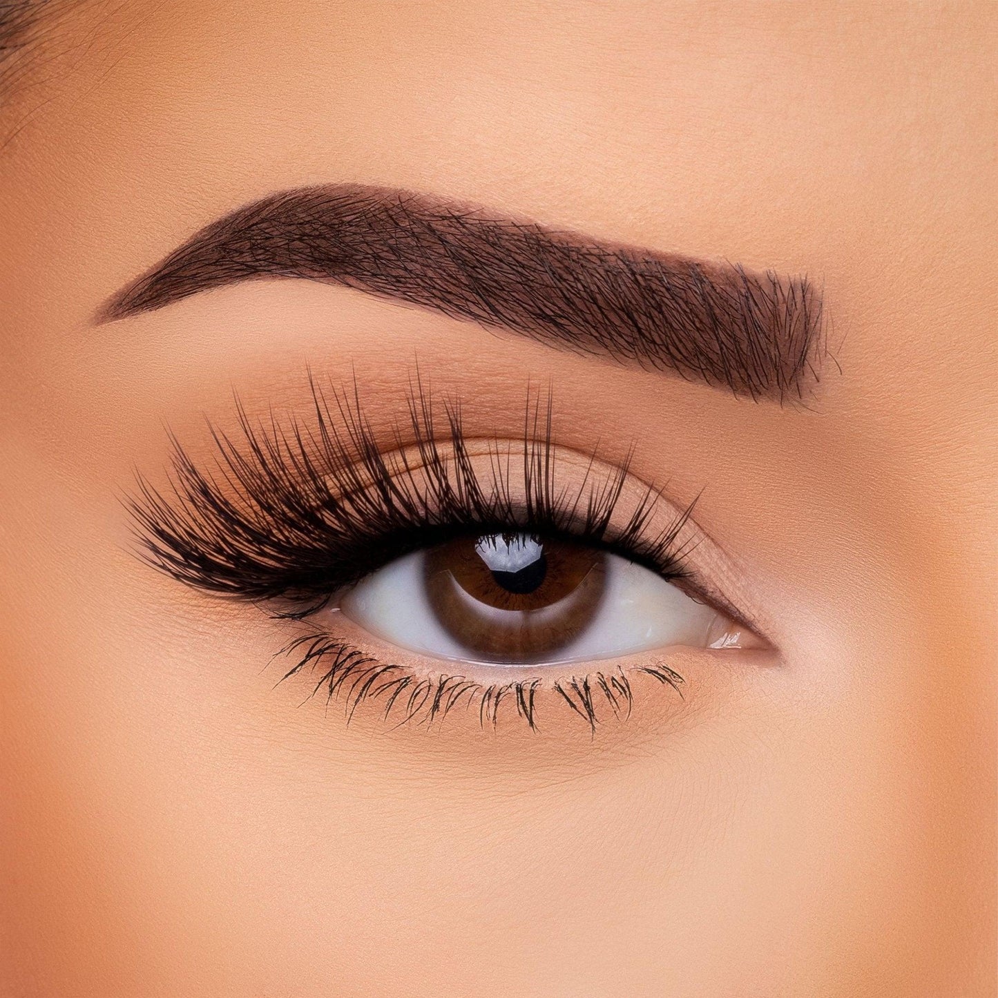 3D Silk - Lash Collection Bundle