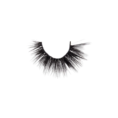 3D Silk - Lash Collection Bundle