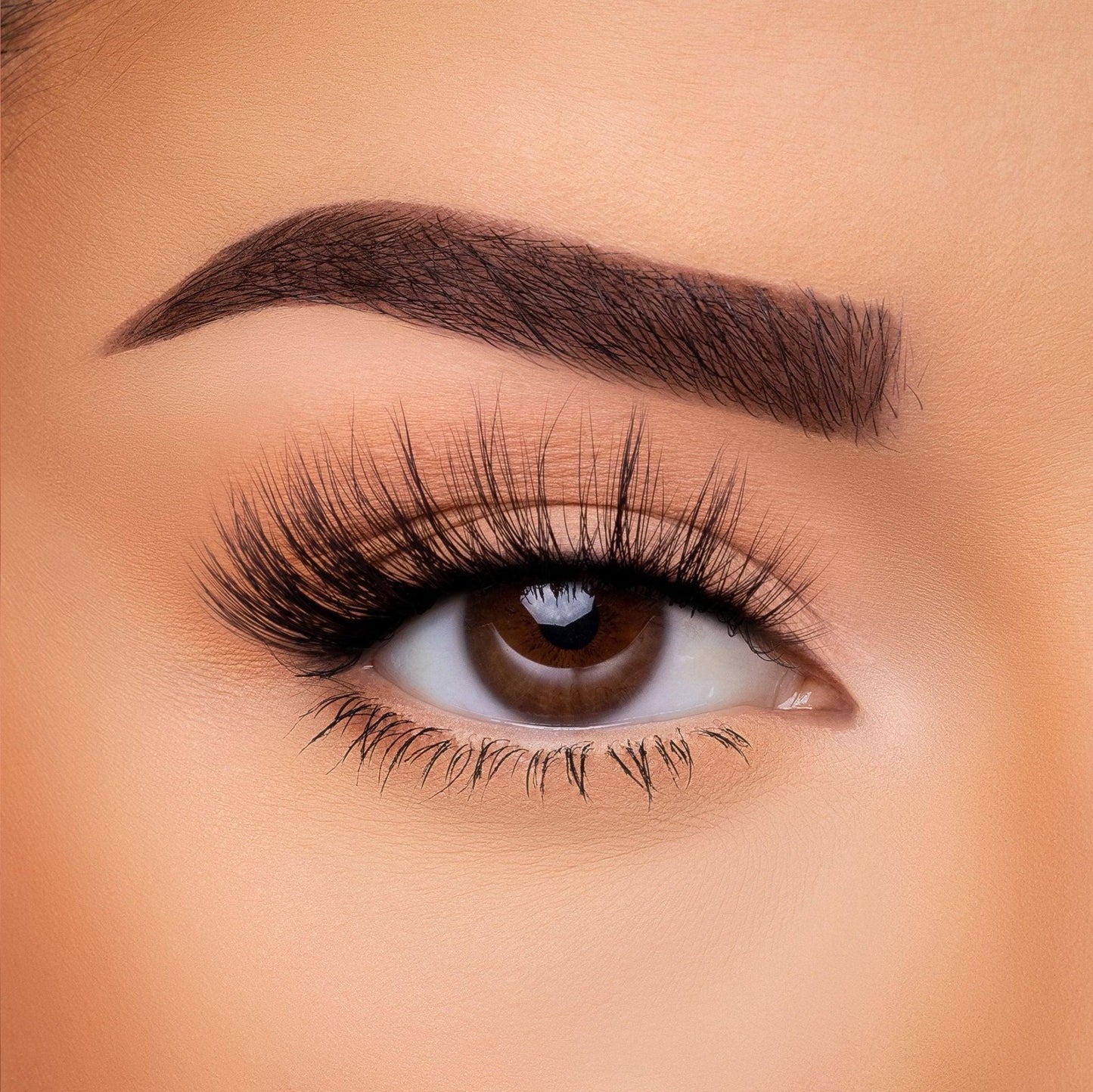 3D Silk - Lash Collection Bundle
