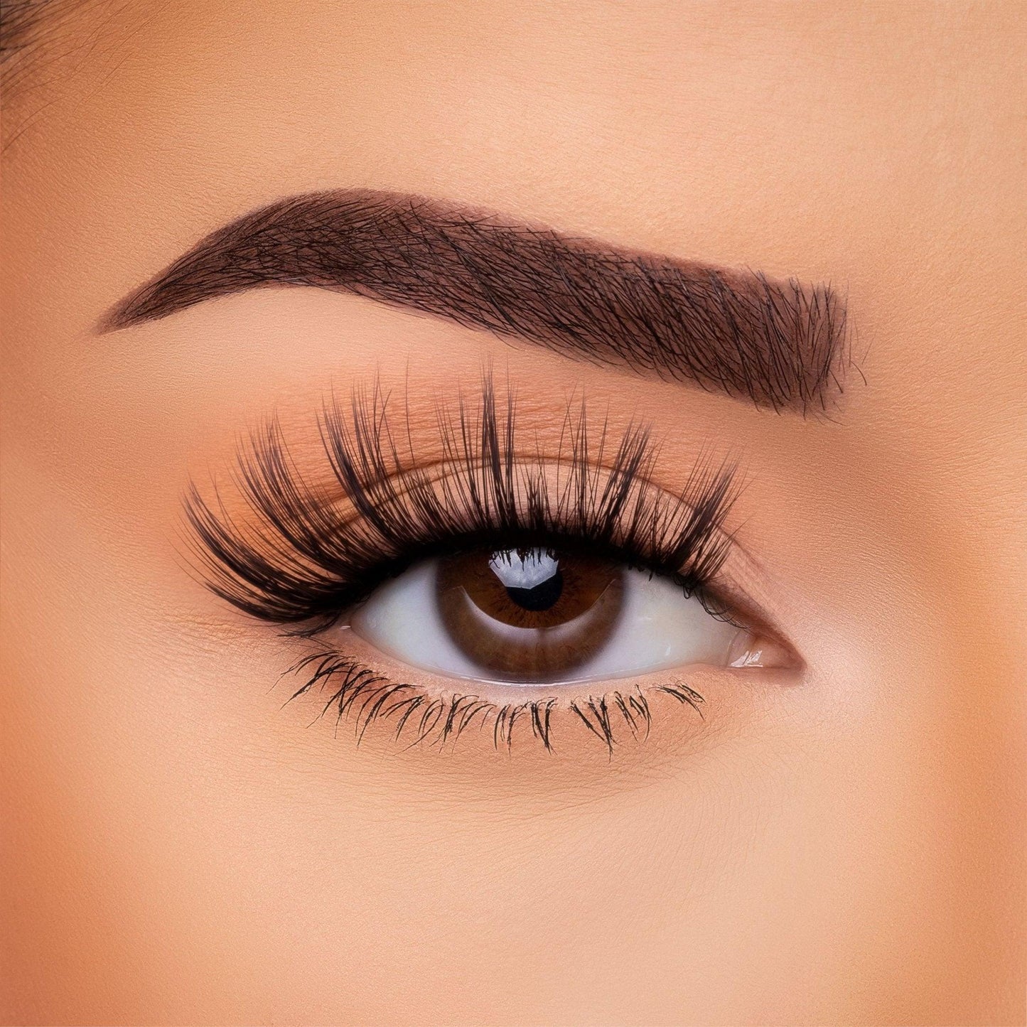 3D Silk - Lash Collection Bundle