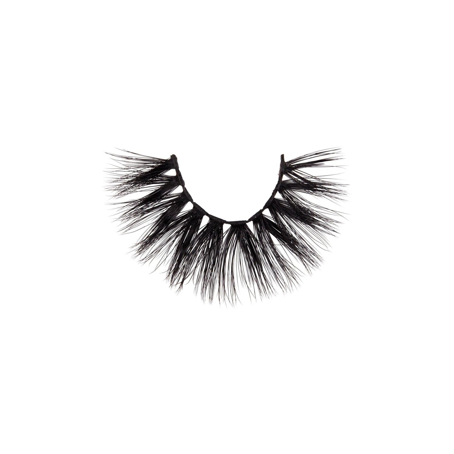 3D Silk - Lash Collection Bundle
