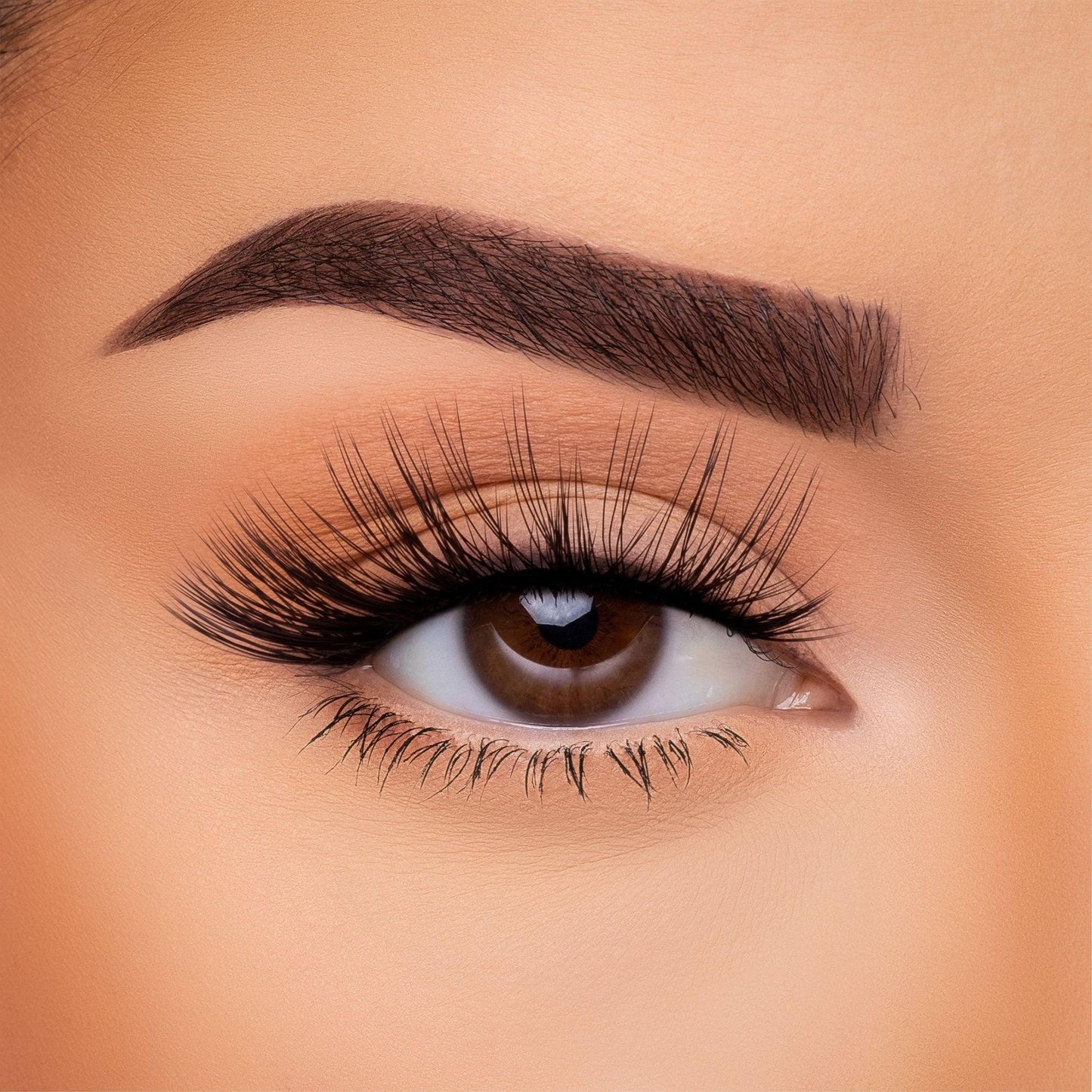 3D Silk - Lash Collection Bundle