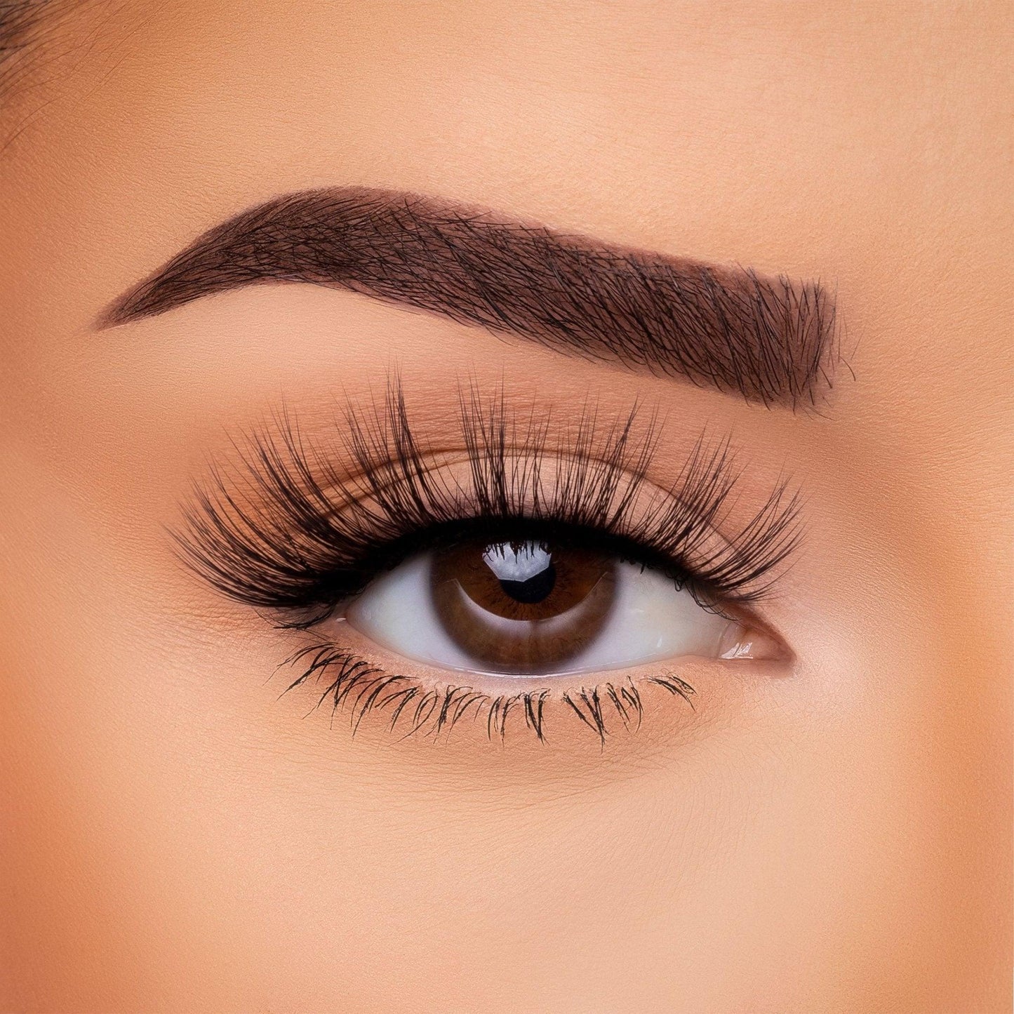 3D Silk - Lash Collection Bundle