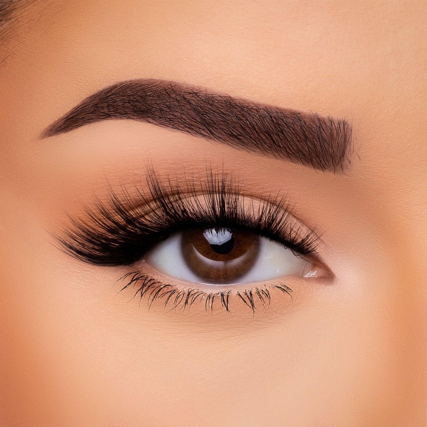 3D Silk - Lash Collection Bundle