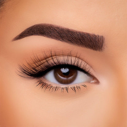 3D Silk - Lash Collection Bundle
