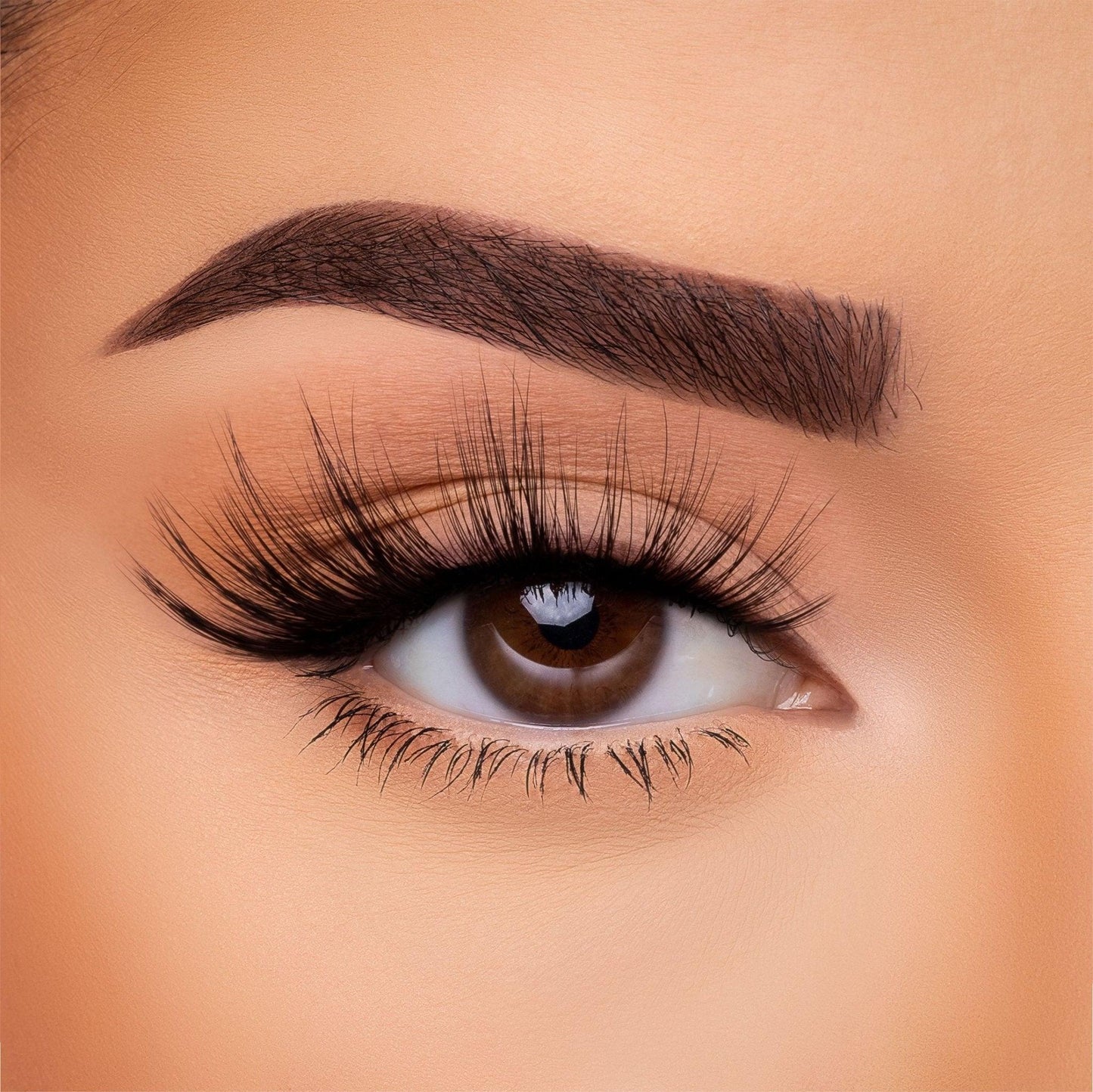 3D Silk - Lash Collection Bundle