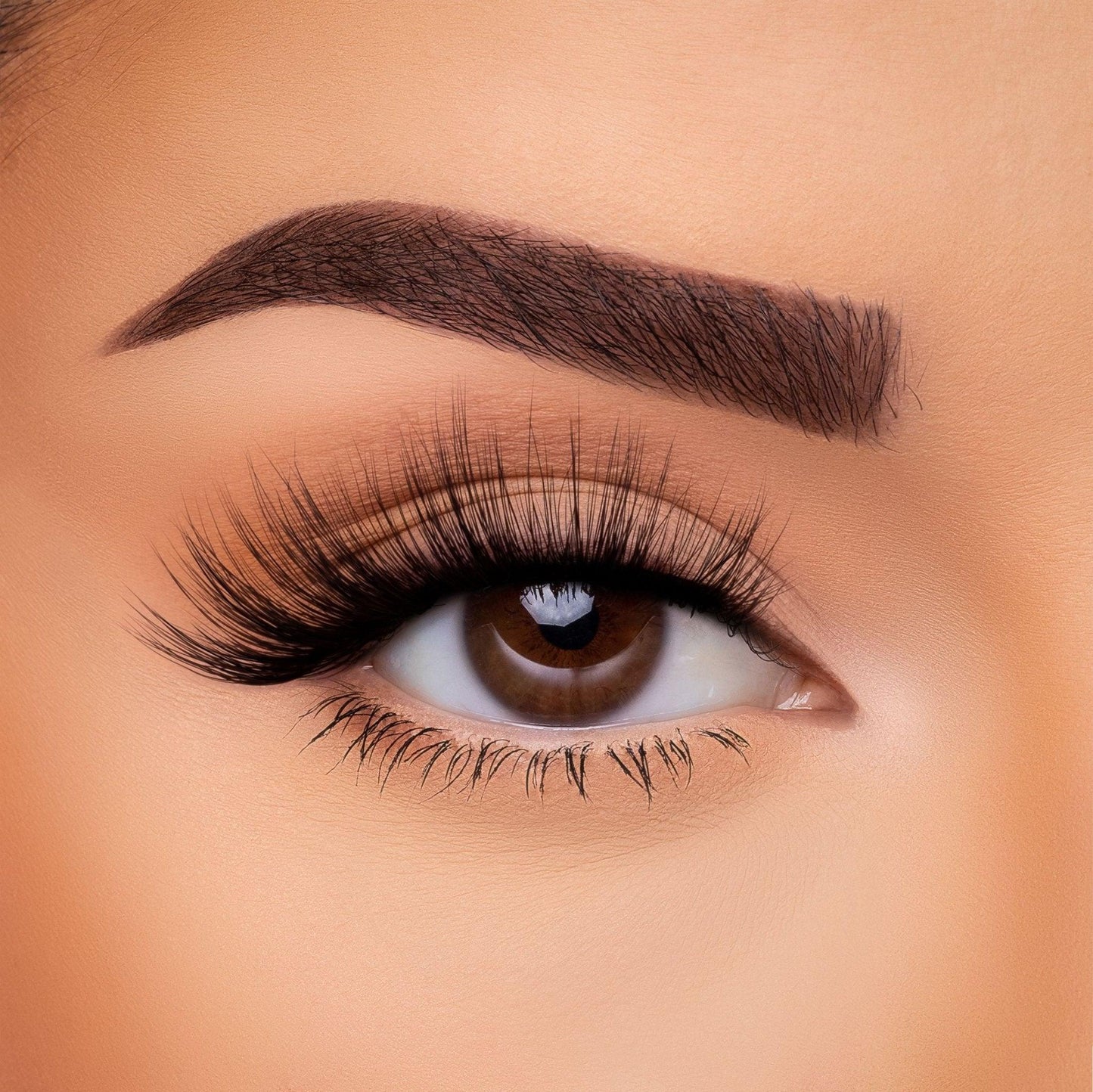 3D Silk - Lash Collection Bundle