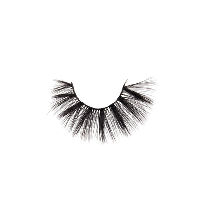 3D Silk - Lash Collection Bundle