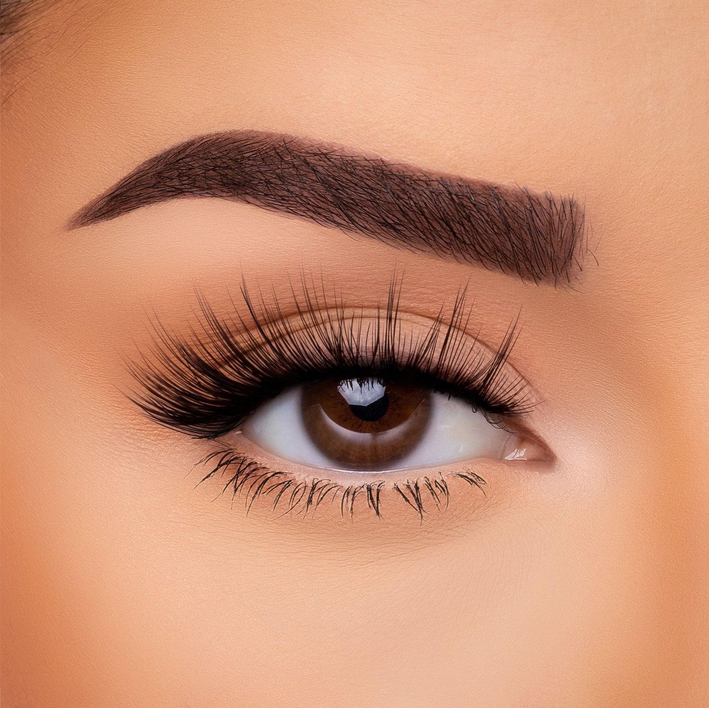 3D Silk - Lash Collection Bundle