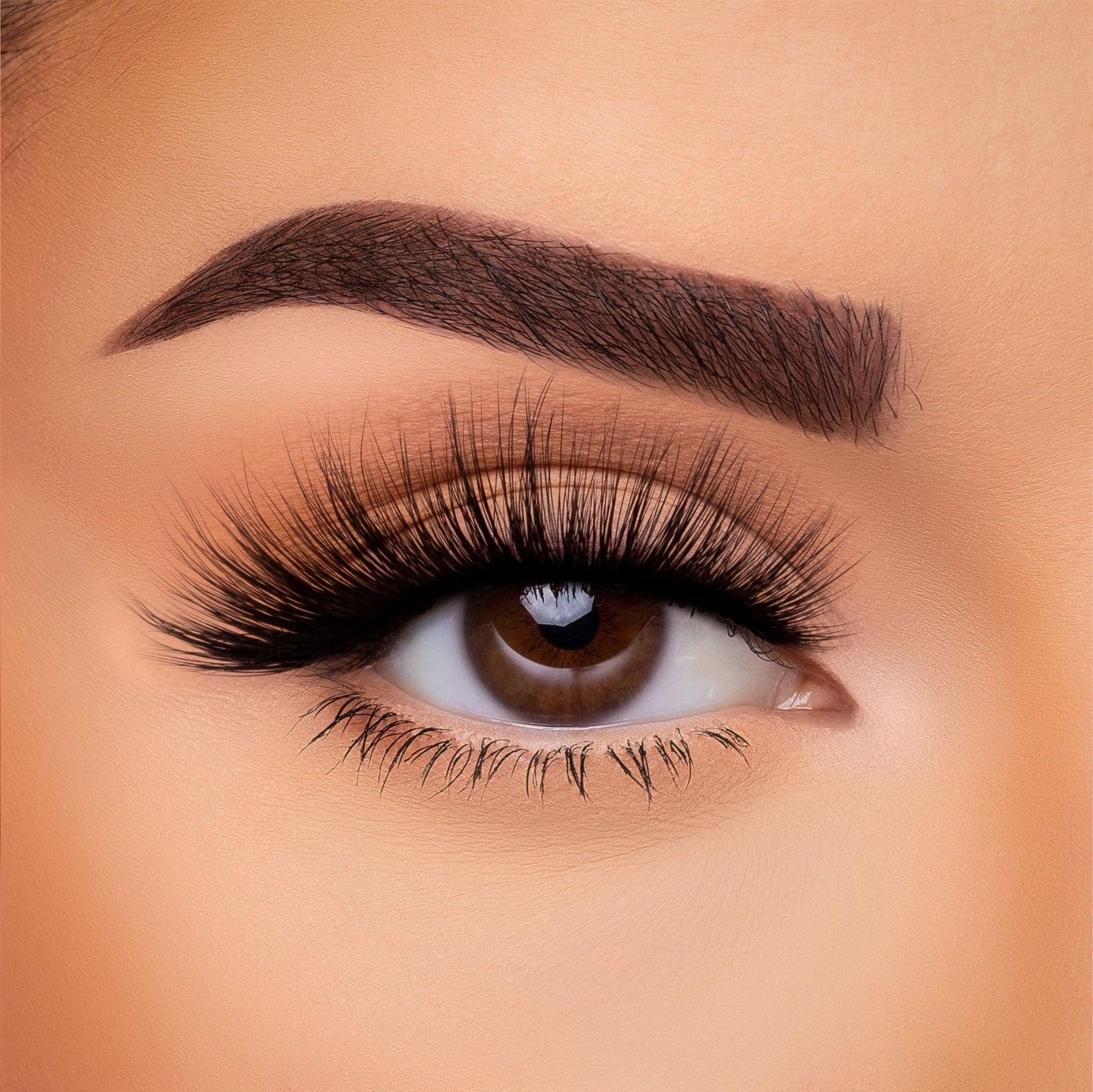3D Silk - Lash Collection Bundle
