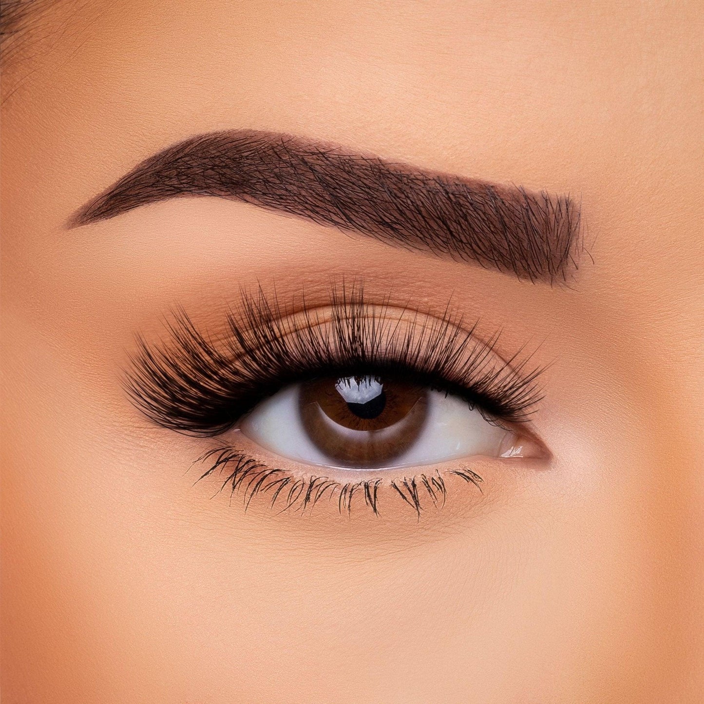 3D Silk - Lash Collection Bundle