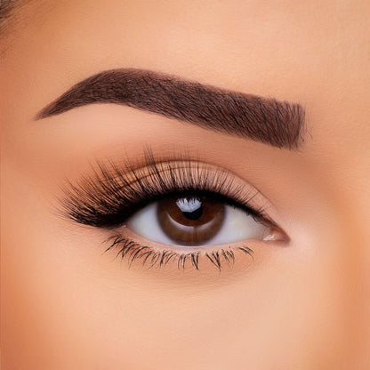 3D Silk - Lash Collection Bundle