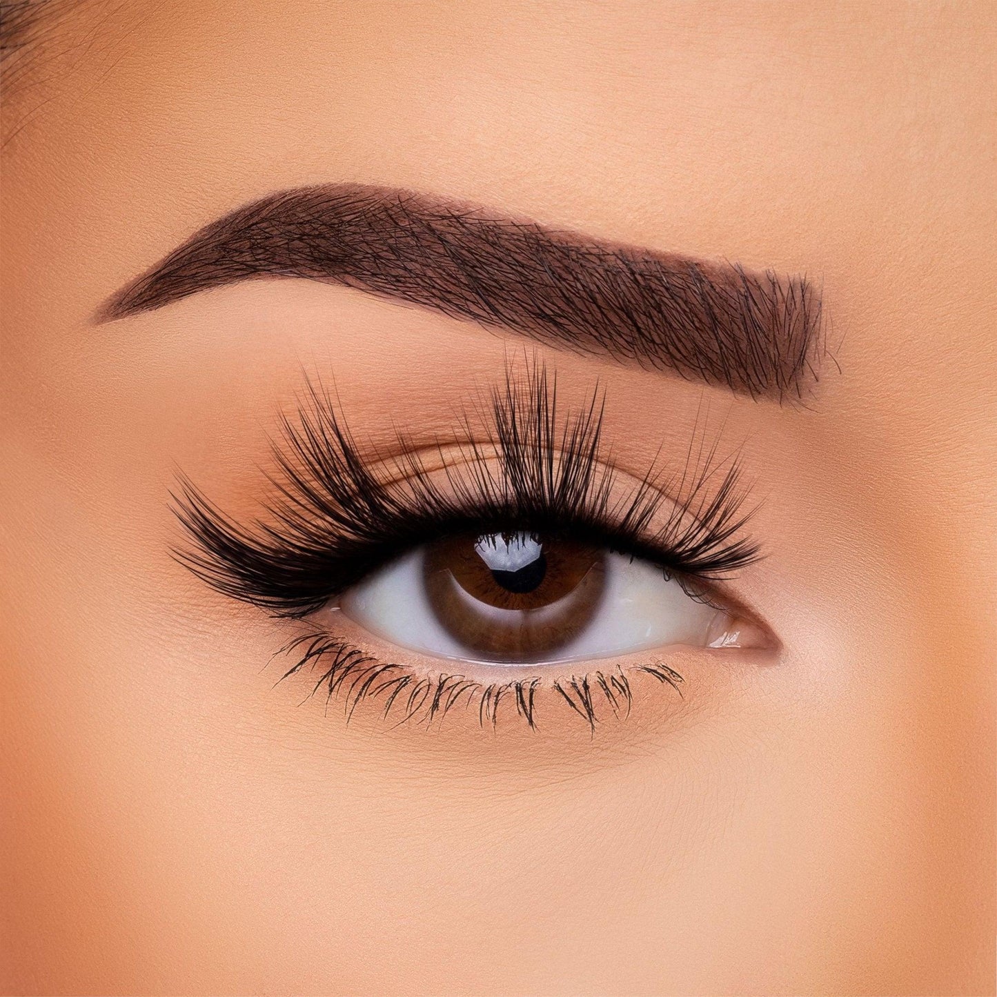3D Silk - Lash Collection Bundle
