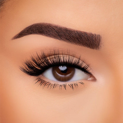 3D Silk - Lash Collection Bundle