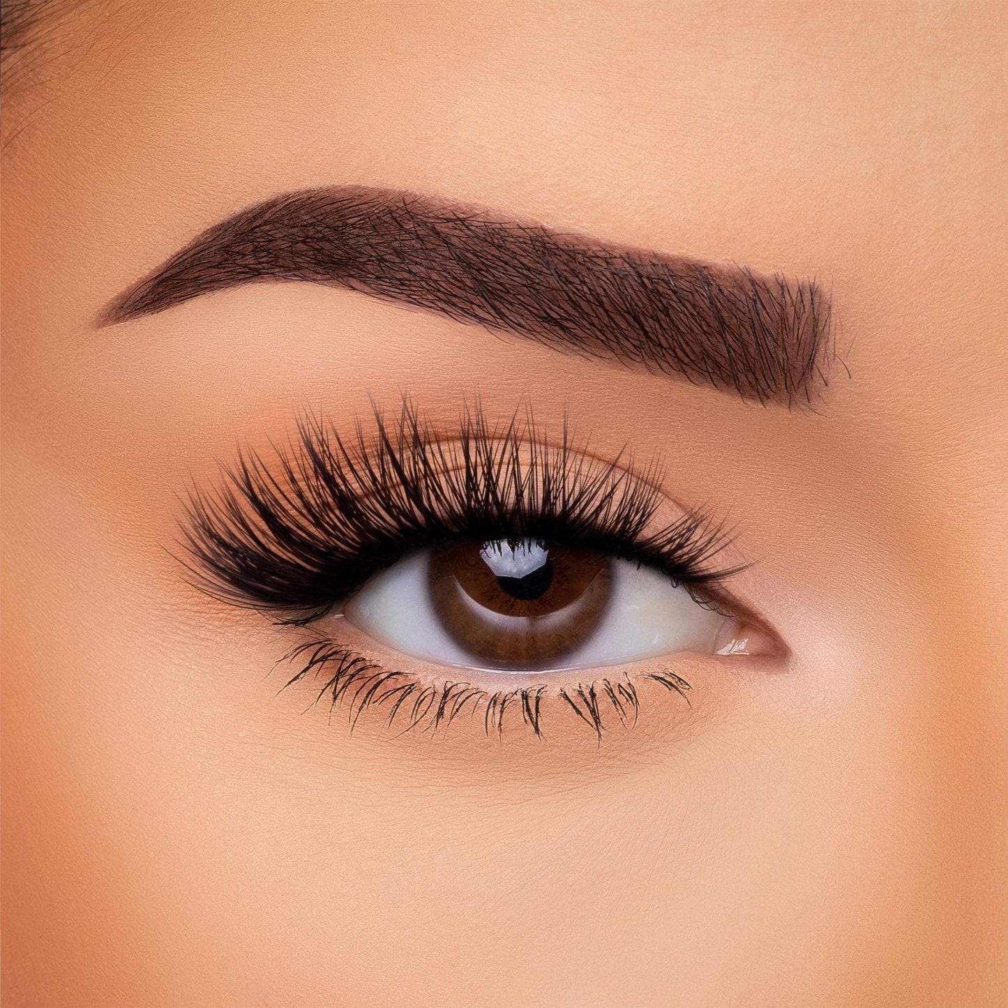 3D Silk - Lash Collection Bundle