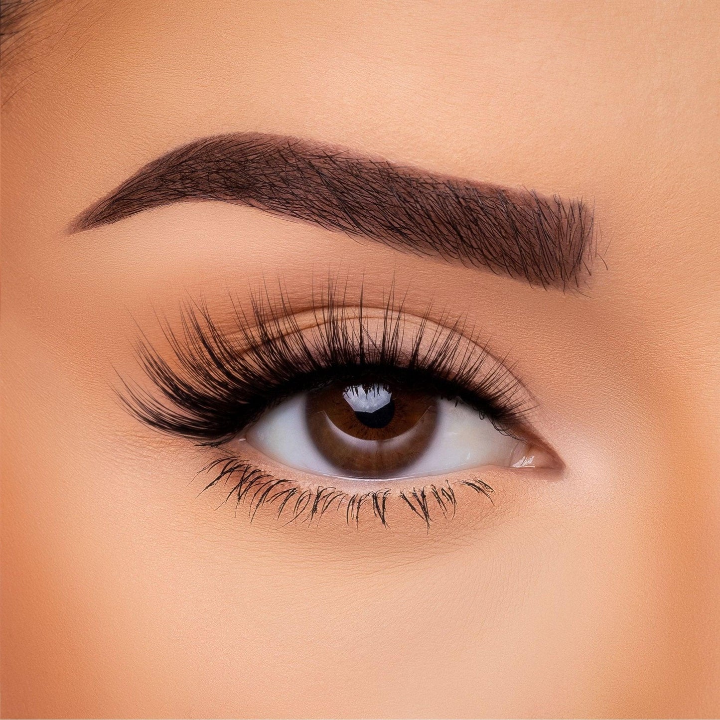 3D Silk - Lash Collection Bundle
