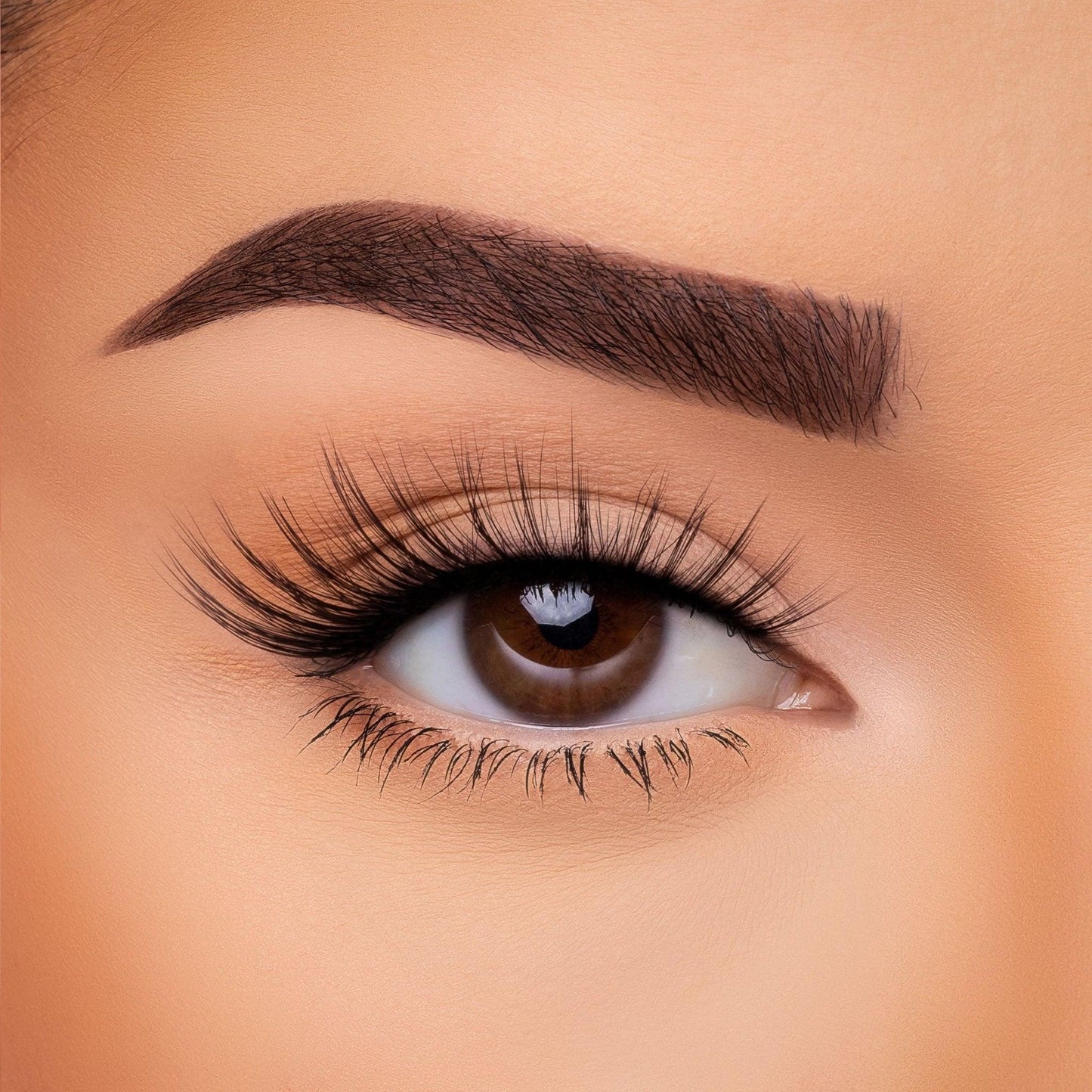3D Silk - Lash Collection Bundle