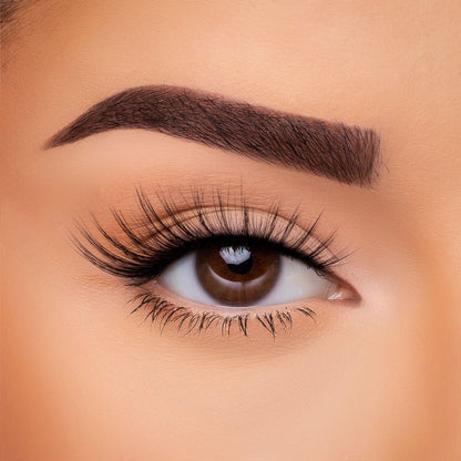3D Silk - Lash Collection Bundle
