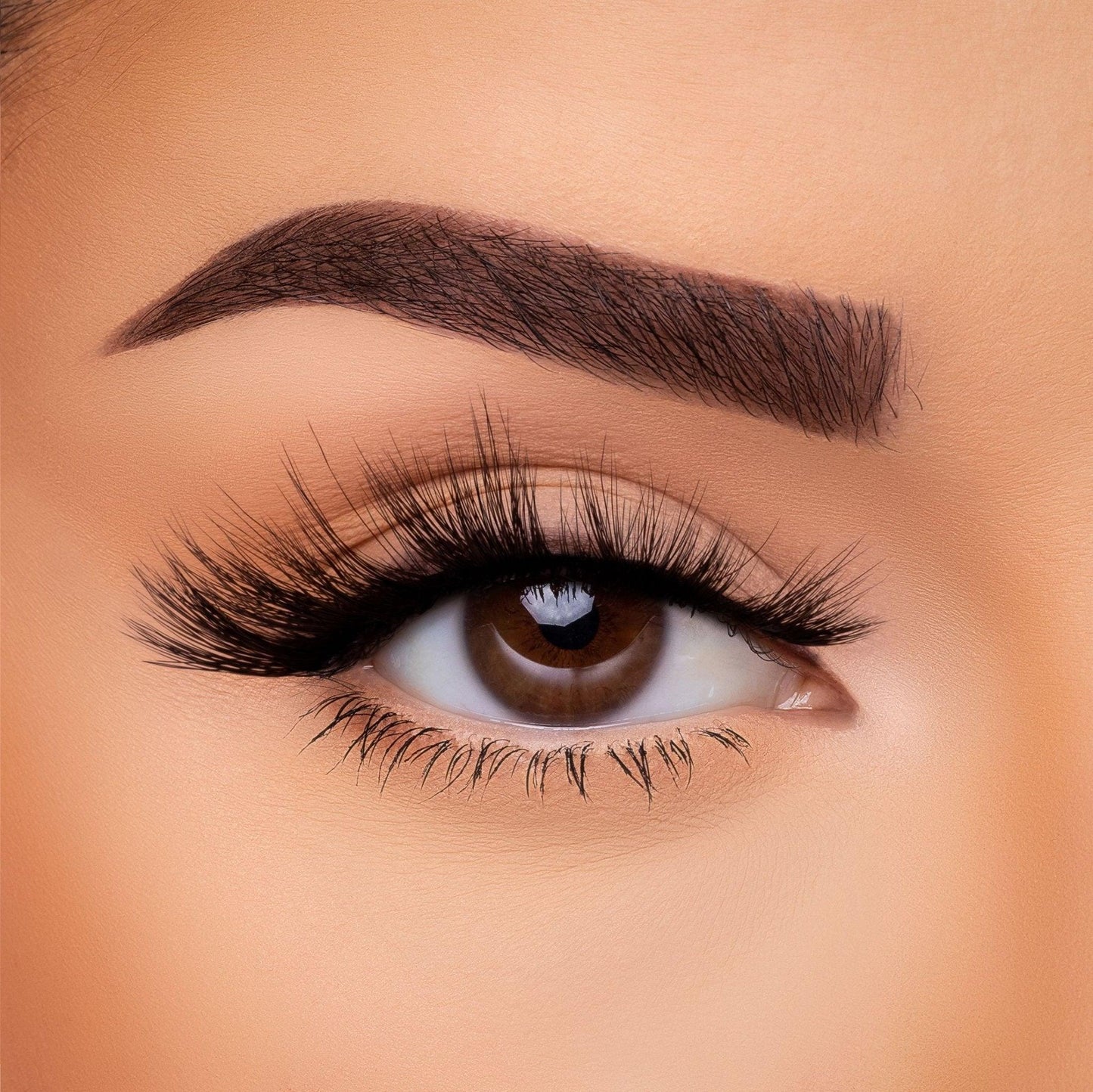 3D Silk - Lash Collection Bundle