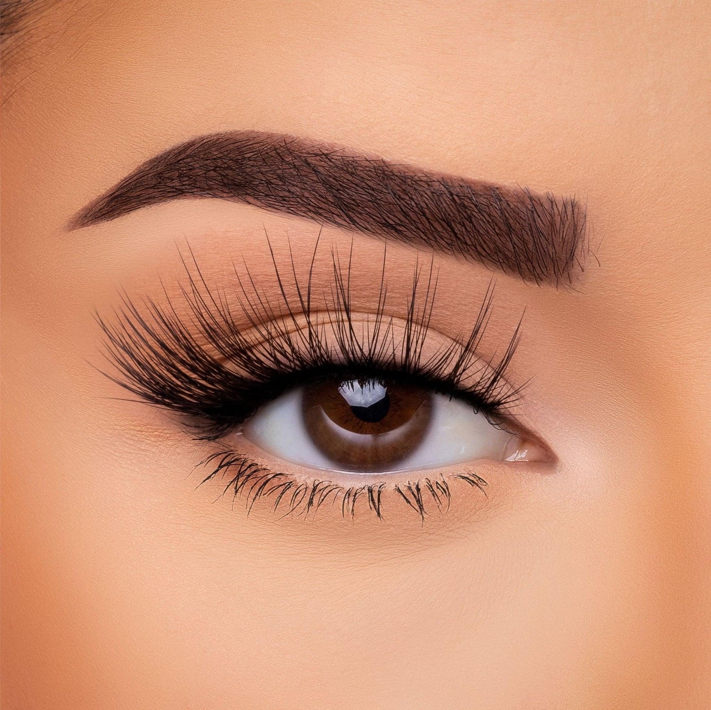 3D Silk - Lash Collection Bundle